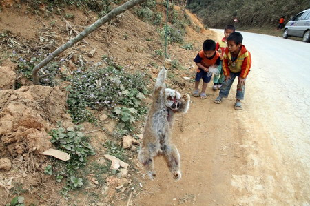 Hãi hùng cảnh người Việt phanh thây khỉ - 5