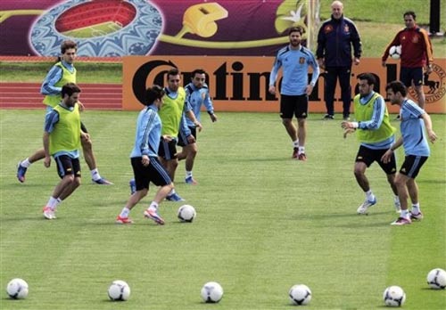 ĐT TBN: Phép thử Torres + Fabregas - 2