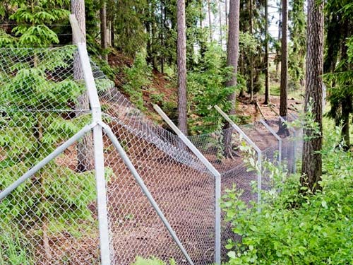 Thụy Điển: Bầy sói vồ chết nhân viên sở thú - 1