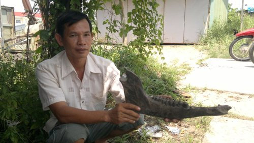 Phát hiện bộ xương lạ ở Cà Mau - 4