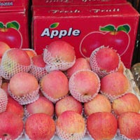 Tin tức trong ngày - VN đề nghị TQ phối hợp kiểm soát táo độc