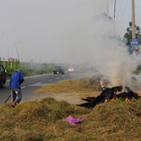 Tin tức trong ngày - Người Hà Nội ngộp thở vì khói rơm rạ