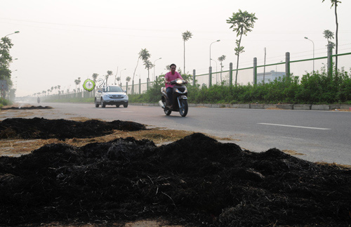 Người Hà Nội ngộp thở vì khói rơm rạ - 4