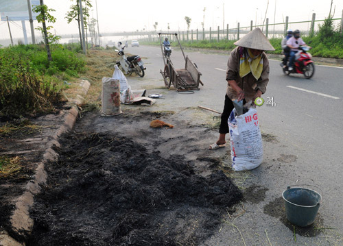 Người Hà Nội ngộp thở vì khói rơm rạ - 5