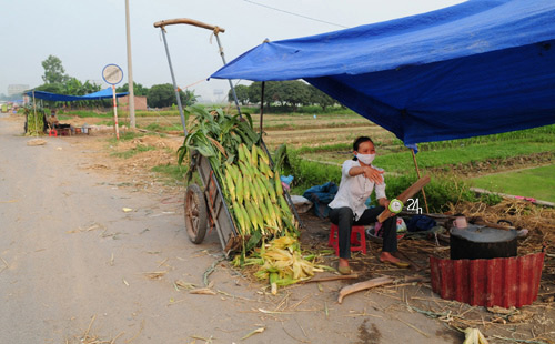 Người Hà Nội ngộp thở vì khói rơm rạ - 7