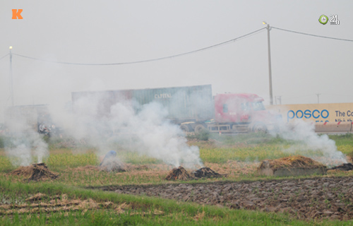 Người Hà Nội ngộp thở vì khói rơm rạ - 9