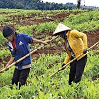 Thị trường - Tiêu dùng - Đời sống nông dân "bồng bềnh" theo giá