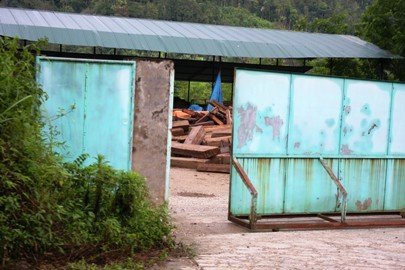 Ông trùm đứng sau các vụ phá rừng là ai? - 4