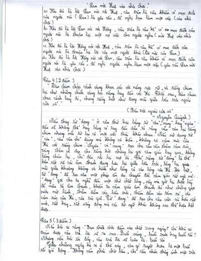 Thủ khoa 11 tuổi và bài văn điểm 10 - 2