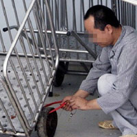 Tin tức trong ngày - Đại gia phát “điên” vì xài hoang