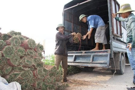 Nghề đặc biệt bên sông Hồng - 11
