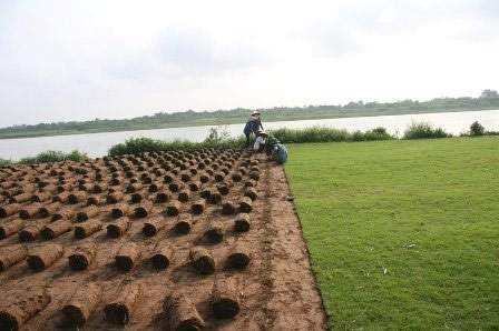 Nghề đặc biệt bên sông Hồng - 2