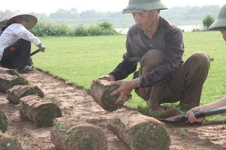 Nghề đặc biệt bên sông Hồng - 3