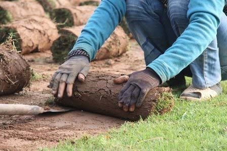 Nghề đặc biệt bên sông Hồng - 6