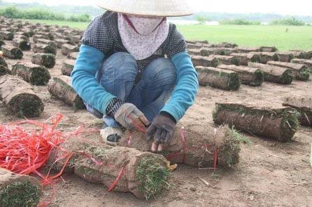 Nghề đặc biệt bên sông Hồng - 7