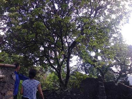 Sự thật về những chuyện "lạ lùng" ở VN - 3