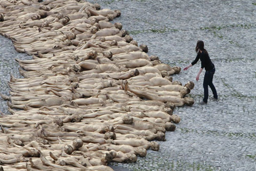 Hàng nghìn người khỏa thân, nhuộm cơ thể - 12