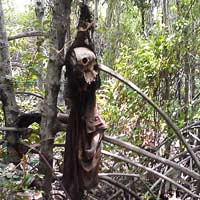 Pháp luật - 3 cái chết ở đầm tôm: Địa ngục trần gian