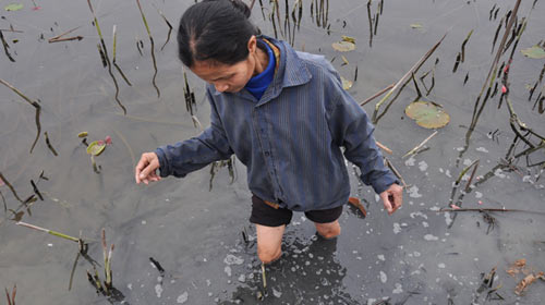 Sống nơi ô nhiễm bậc nhất Việt Nam - 5