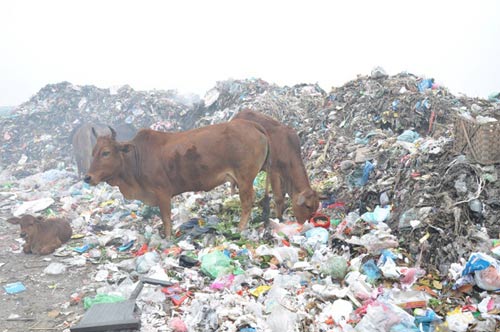 Sống nơi ô nhiễm bậc nhất Việt Nam - 6