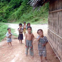 Tin tức trong ngày - Bi kịch từ tục “ngủ thăm” biến tướng