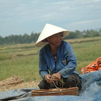 Tin tức trong ngày - Lạ lùng xã có 500 cán bộ ở Thanh Hóa