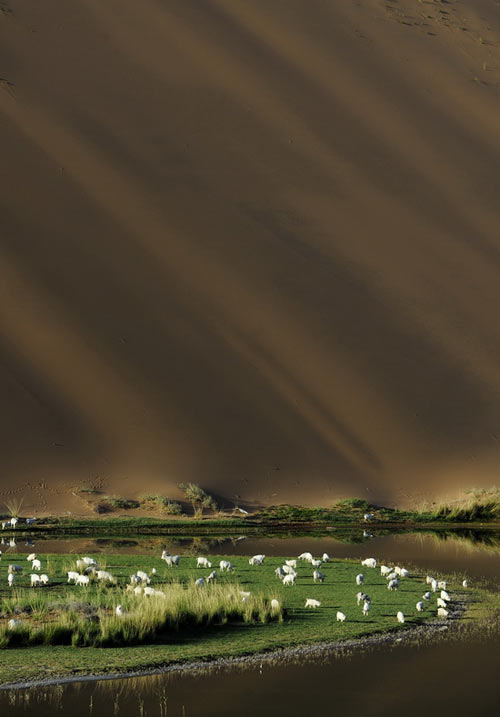 Vẻ đẹp bí ẩn của sa mạc Ba Đan Cát Lâm - 1