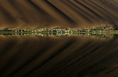 Vẻ đẹp bí ẩn của sa mạc Ba Đan Cát Lâm - 4