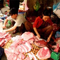 Thị trường - Tiêu dùng - Thịt thối, gà lậu lại ùn ùn về nước