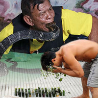 Phi thường - kỳ quặc - Rùng rợn những cuộc thi khắp thế giới