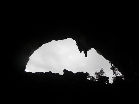 Những người đàn bà mưu sinh nhờ... phân dơi - 1