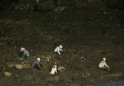 Những người đàn bà mưu sinh nhờ... phân dơi - 2