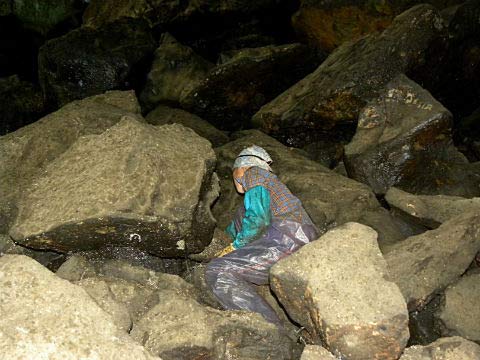 Những người đàn bà mưu sinh nhờ... phân dơi - 5