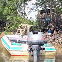 Pháp luật - 3 người chết ở đầm tôm: Trốn chạy bất thành