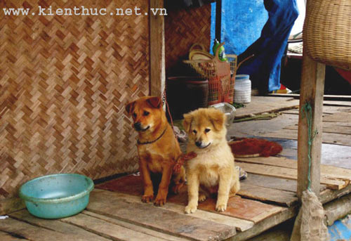 Ông lão 70 “nhặt” vợ: Vượt qua dị nghị - 3