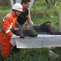 Tin tức trong ngày - Ghê sợ nạn đào mộ người chết vì sét đánh