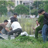 Pháp luật - Cha giết con vì con đòi "cướp tiền"