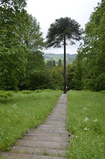 Đắm mình vào không gian nước Anh tại Chatsworth House - 6