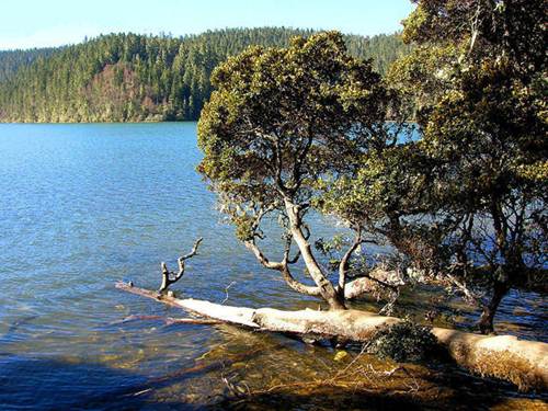 Shangrila - miền đất đẹp dưới thềm chân núi Himalaya - 4