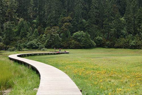 Shangrila - miền đất đẹp dưới thềm chân núi Himalaya - 7