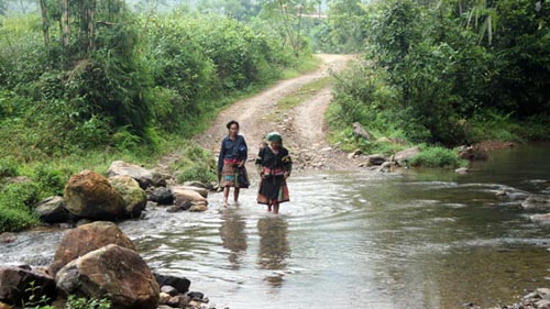 “Ma ngón” gây họa ở Tây Bắc - 1