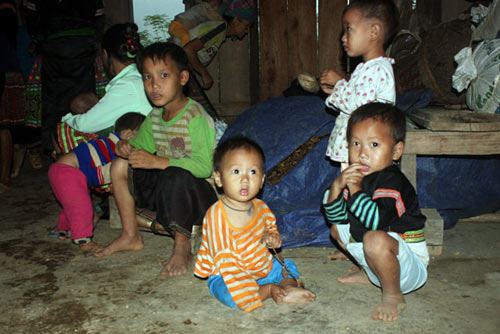 “Ma ngón” gây họa ở Tây Bắc - 2