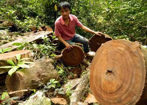 Cúc Phương tứa máu - 3