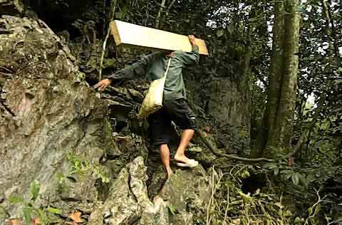 Cúc Phương tứa máu - 7