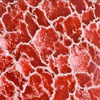 Du lịch - Lạ mắt hồ muối như ghép từ trăm tấm kính đỏ