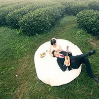 - Lộ ảnh cưới của Giáo sư Xoay