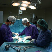 Sức khỏe đời sống - Khi cụ bà tân trang "vùng kín"