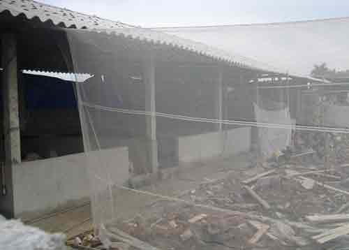 Bắt 27 con bạc ở sới di động trên QL5 - 5