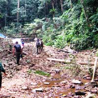 Vụ giết 5 phu trầm: Vây ráp rừng Ma