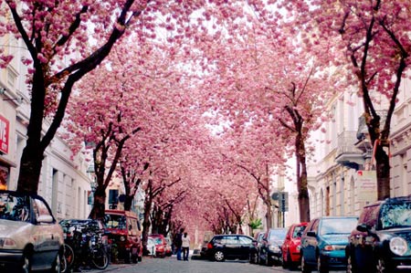 Những con đường tình yêu đẹp ngỡ ngàng trên thế giới - 3